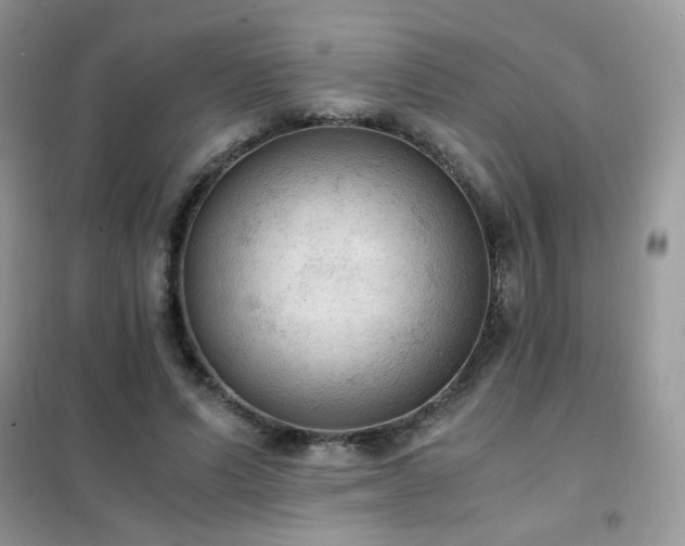 X0000102390591200808011602