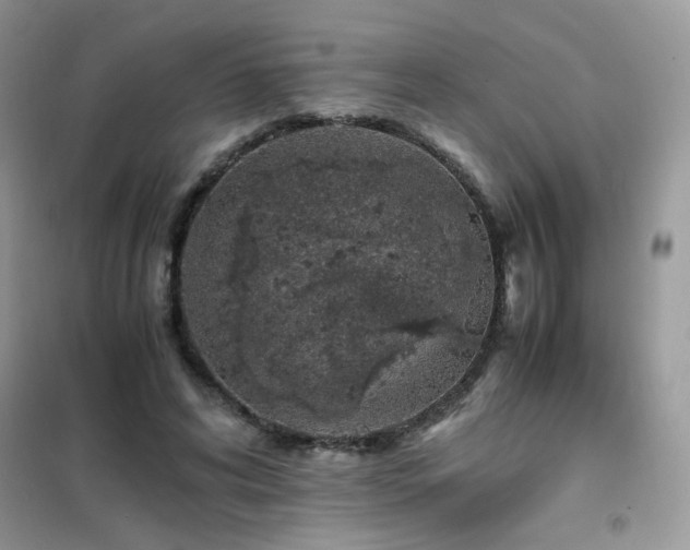 X0000102390592200808011602