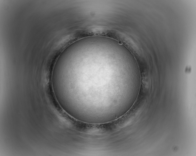 X0000102390593200808011602