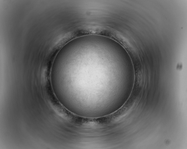 X0000102390594200808011602