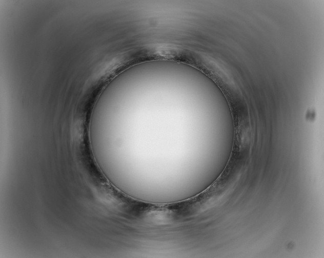 X0000102390595200808011602