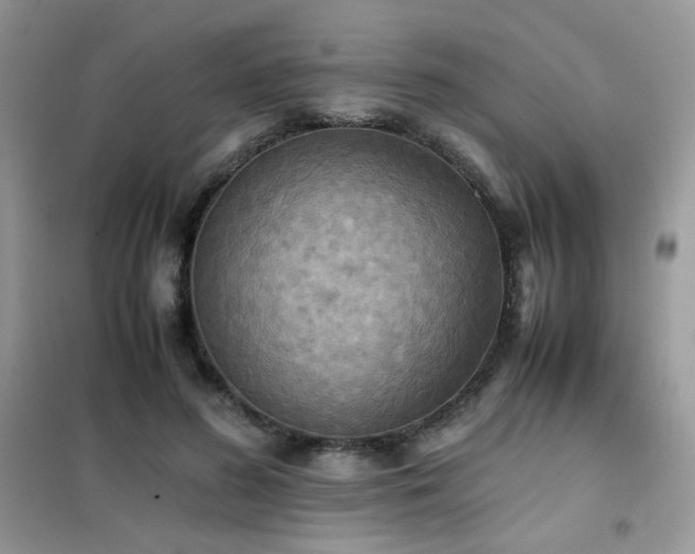 X0000102390596200808011602