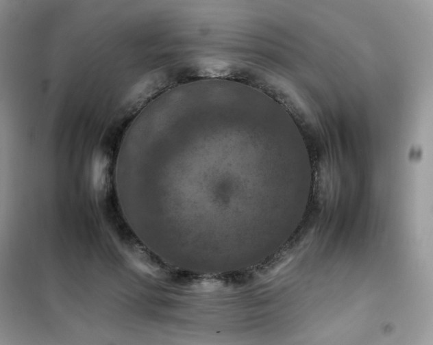 X0000102390598200808011602