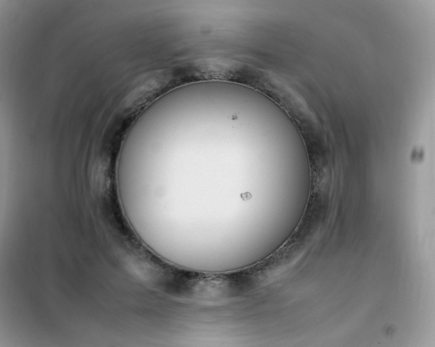 X0000102390599200808011602