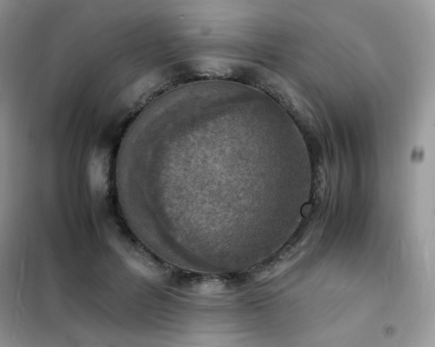 X0000102390600200808011602