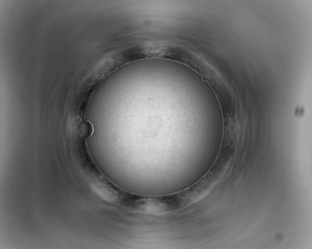 X0000102390601200808011602