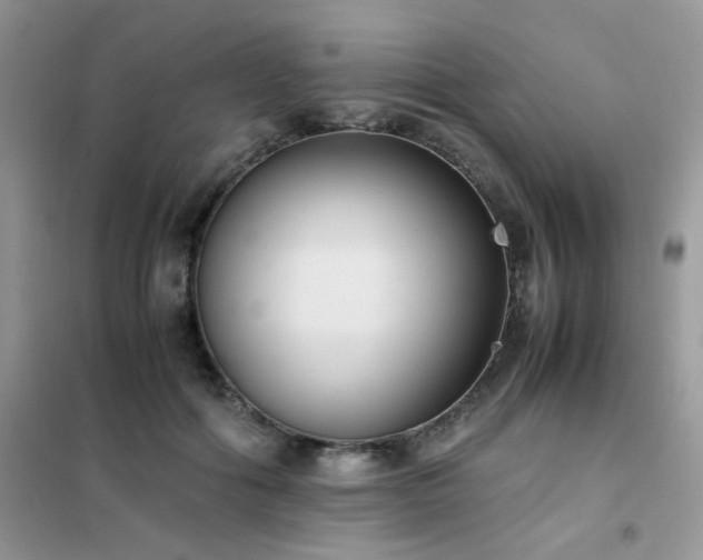 X0000102390602200808011602