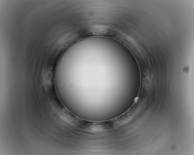 X0000102390604200808011602