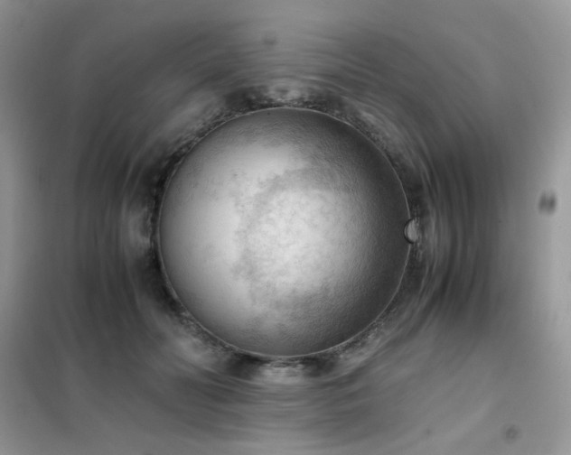 X0000102390606200808011602