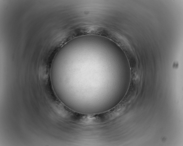 X0000102390607200808011602