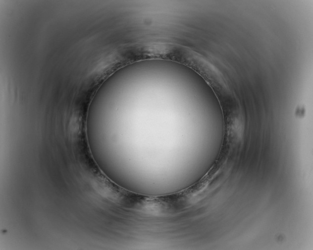 X0000102390608200808011602