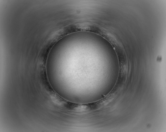 X0000102390609200808011602