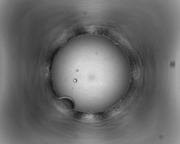 X0000102390611200808011602