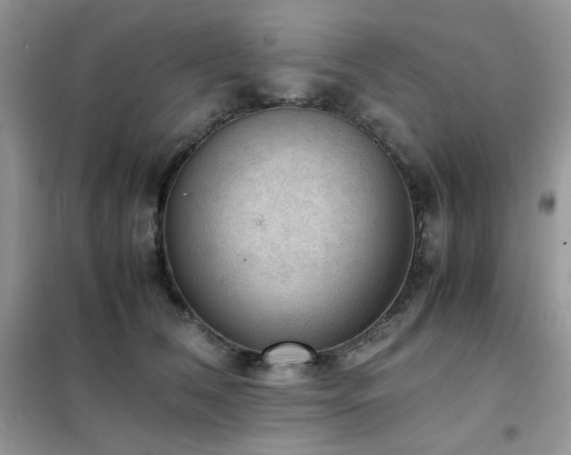 X0000102390612200808011602