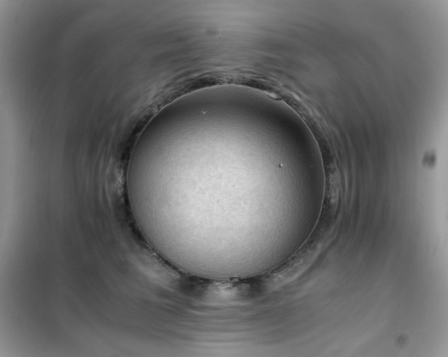 X0000102390613200808011602