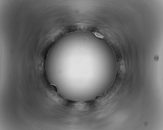 X0000102390615200808011602