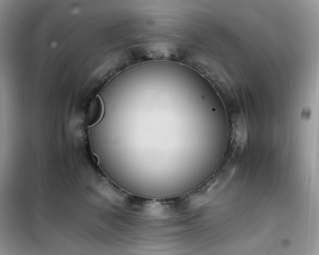 X0000102390616200808011602