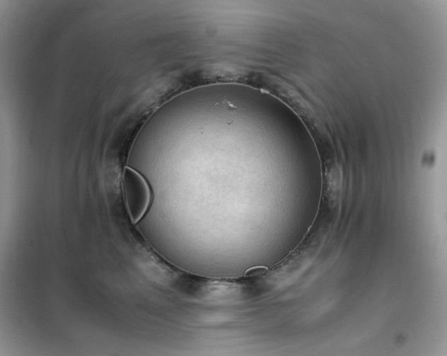 X0000102390617200808011601