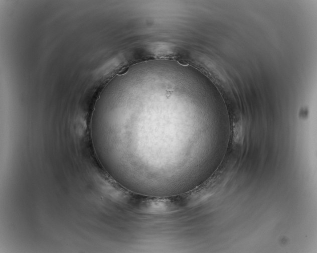 X0000102390618200808011601