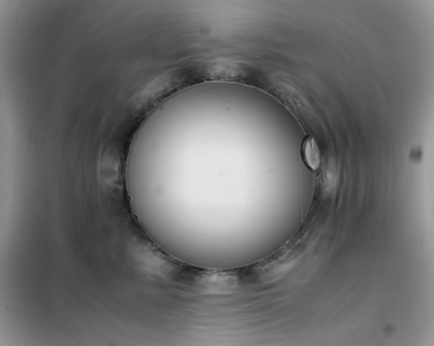 X0000102390619200808011601