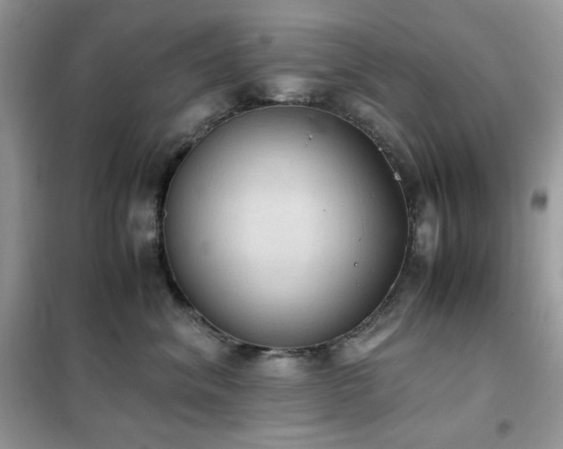 X0000102390620200808011601