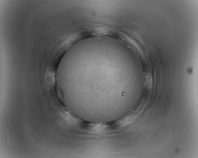 X0000102390621200808011601