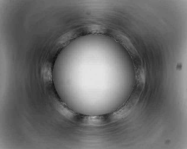 X0000102390622200808011601