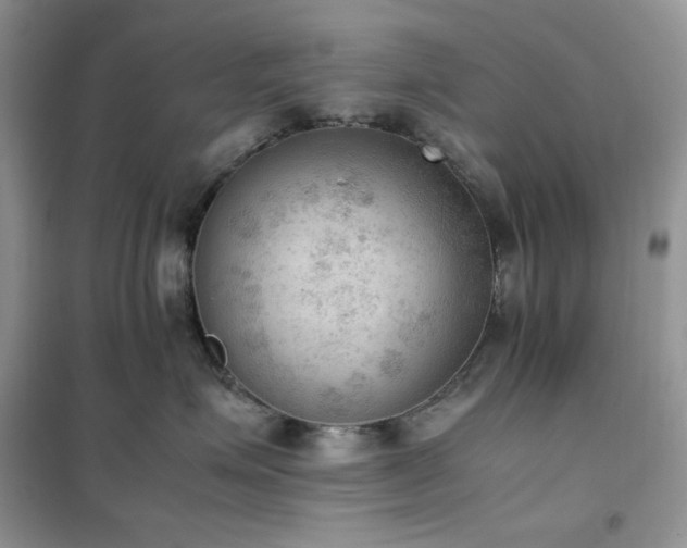 X0000102390623200808011601