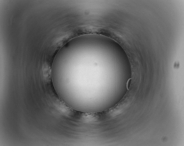 X0000102390624200808011601