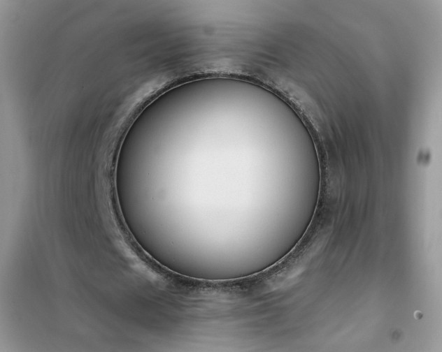 X0000102390625200808011601