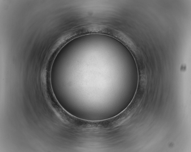 X0000102390626200808011601