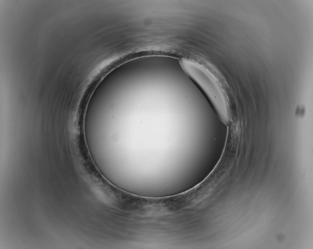 X0000102390628200808011601