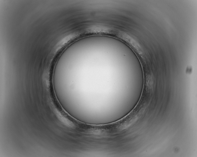 X0000102390629200808011601