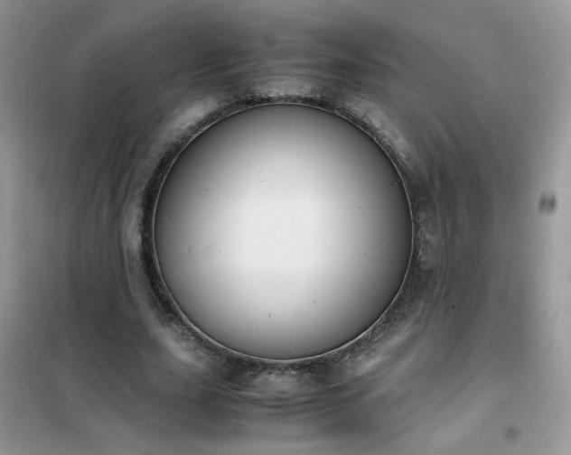 X0000102390631200808011601