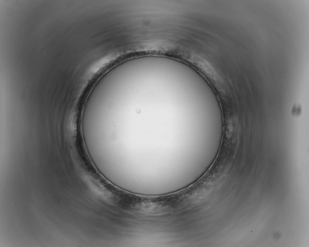 X0000102390632200808011601