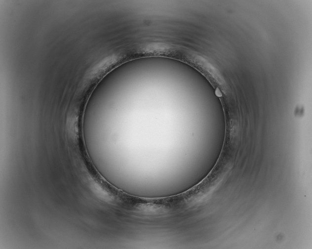 X0000102390633200808011601