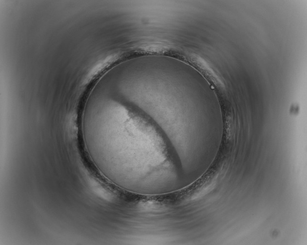 X0000102390634200808011601