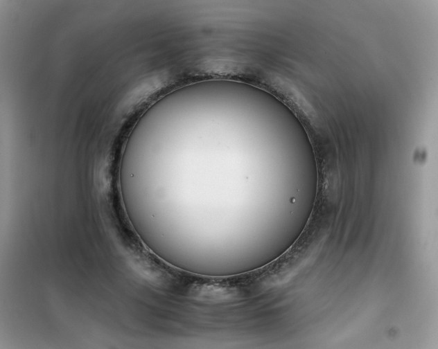 X0000102390635200808011601