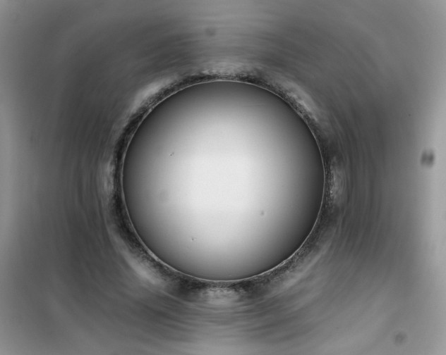 X0000102390636200808011601