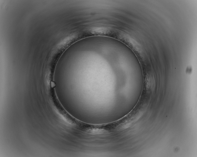 X0000102390637200808011601