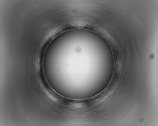 X0000102390638200808011601