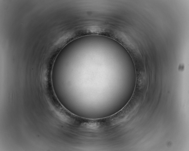 X0000102390639200808011601