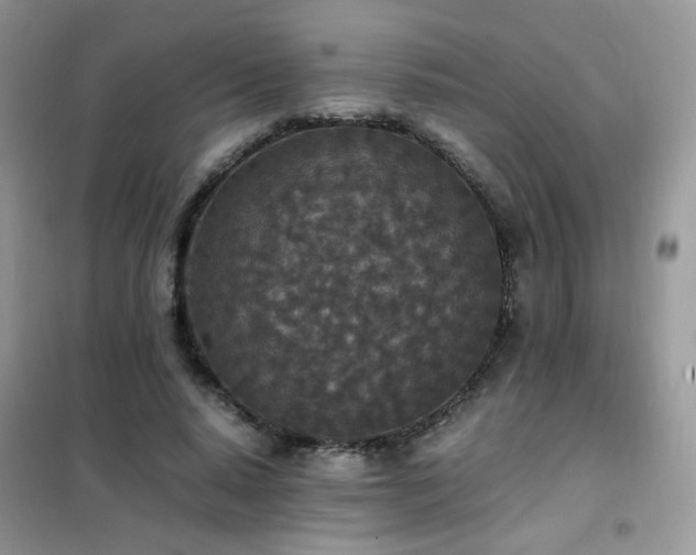 X0000102390640200808011601