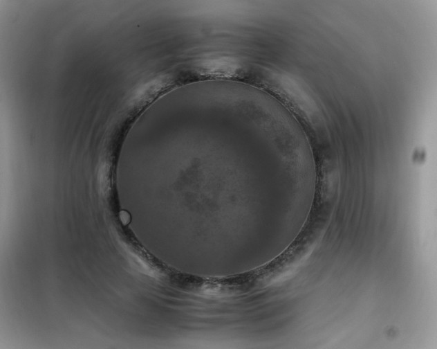 X0000102390641200808011601