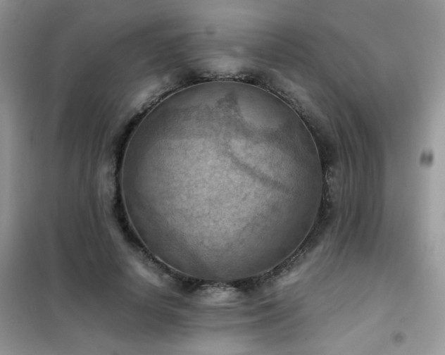 X0000102390642200808011601