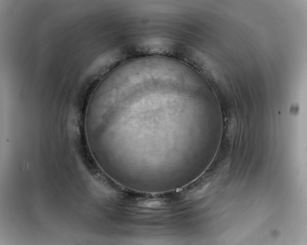 X0000102390643200808011601