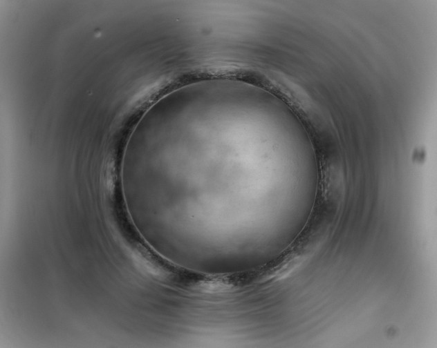 X0000102390644200808011601