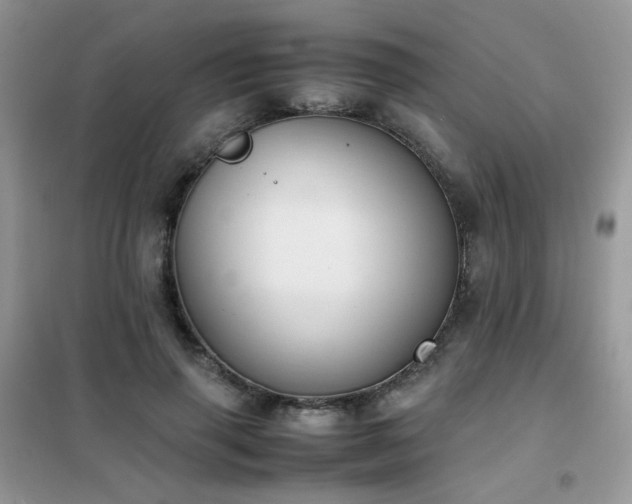 X0000102390645200808011601