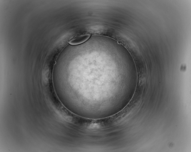 X0000102390647200808011601