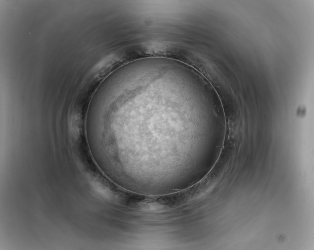 X0000102390648200808011601